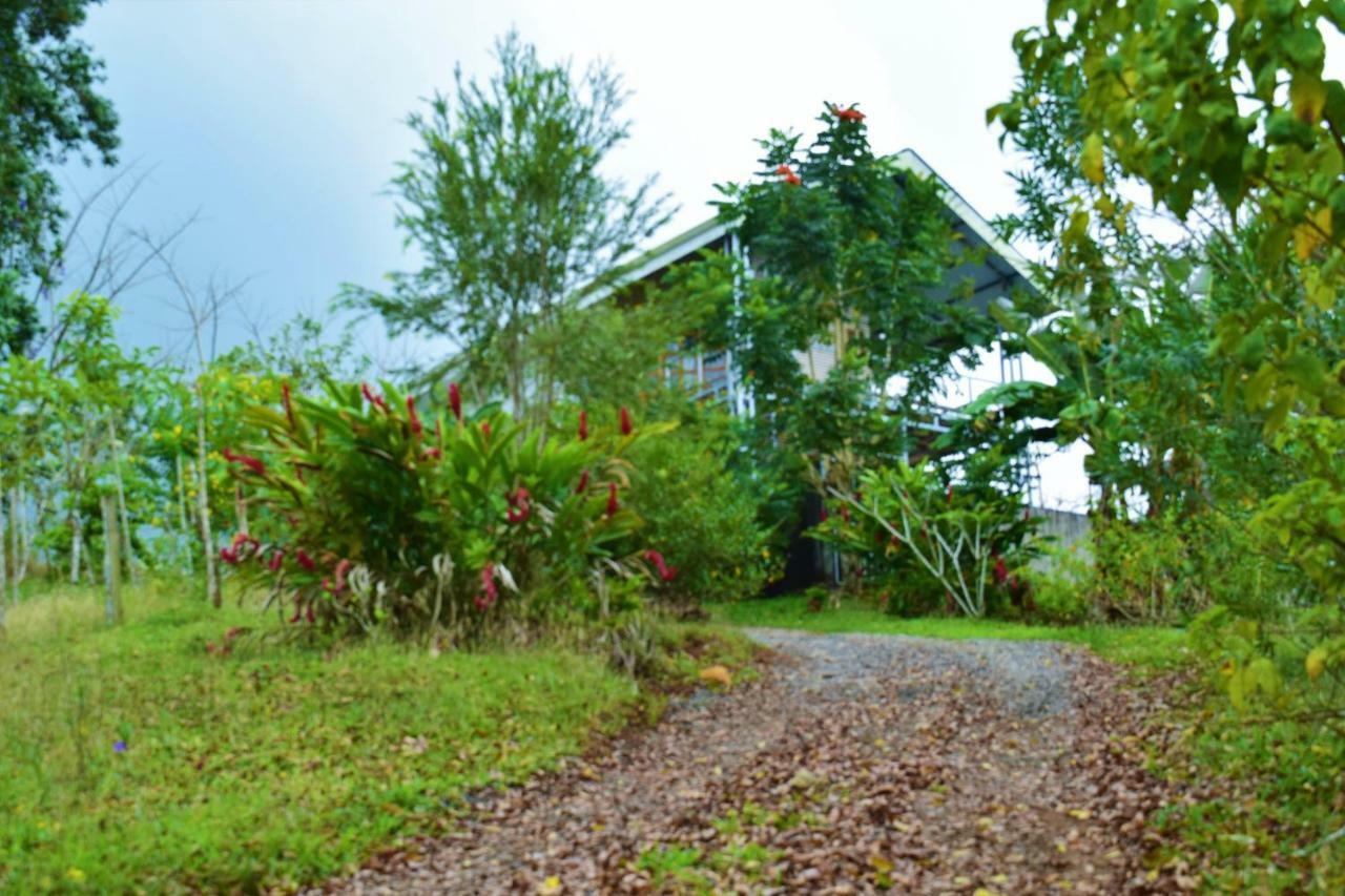 Hotel Rio Celeste Finca L' Etoile Celeste El Achiote 외부 사진